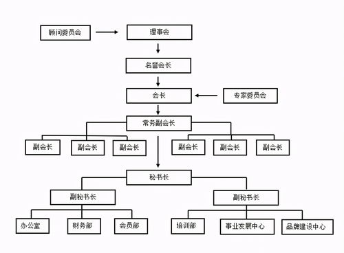 嗶哩嗶哩專欄在企業咨詢領域的應用探索